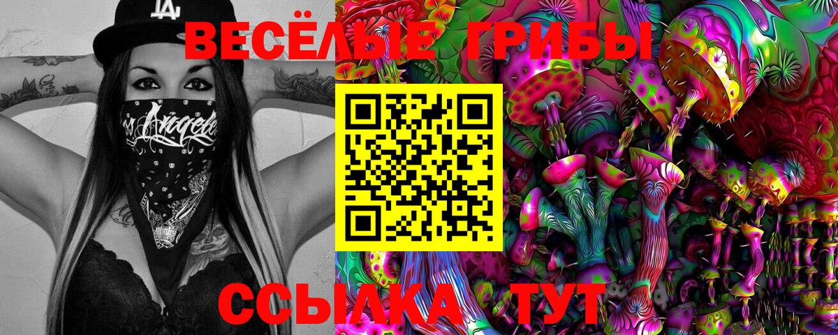 Псилоцибиновые грибы Psilocybe  Вход с VPN  Фурманов 